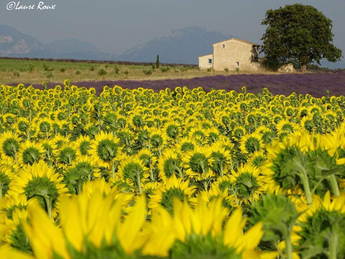 Les Secrets Du Mistral Bed & Breakfast Valensole Exterior photo